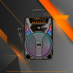 Parlante XAEA 003X 12 pulgadas Bluetooth